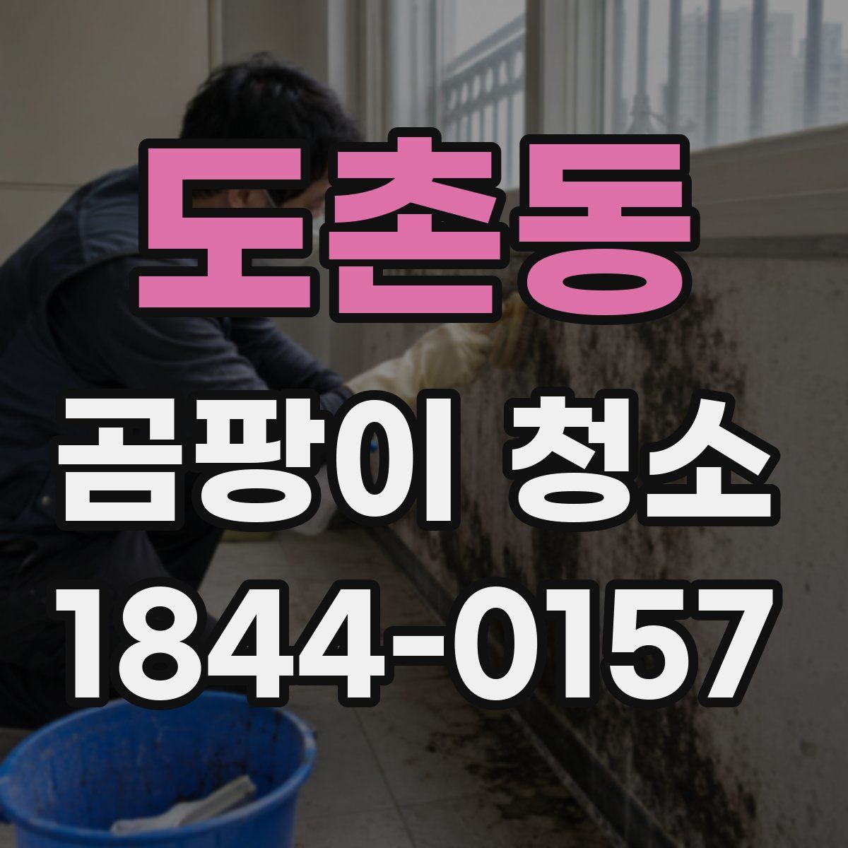 도촌동 곰팡이 청소