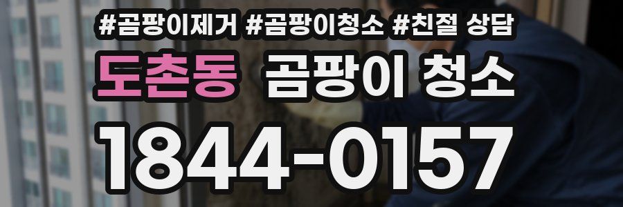 도촌동 곰팡이 청소