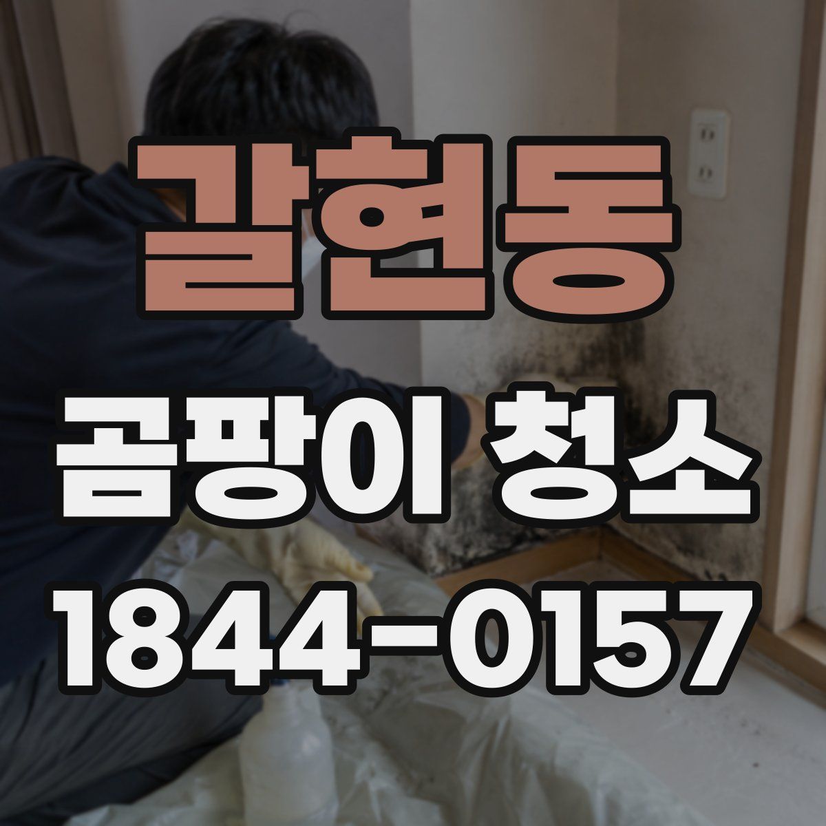 갈현동 곰팡이 청소