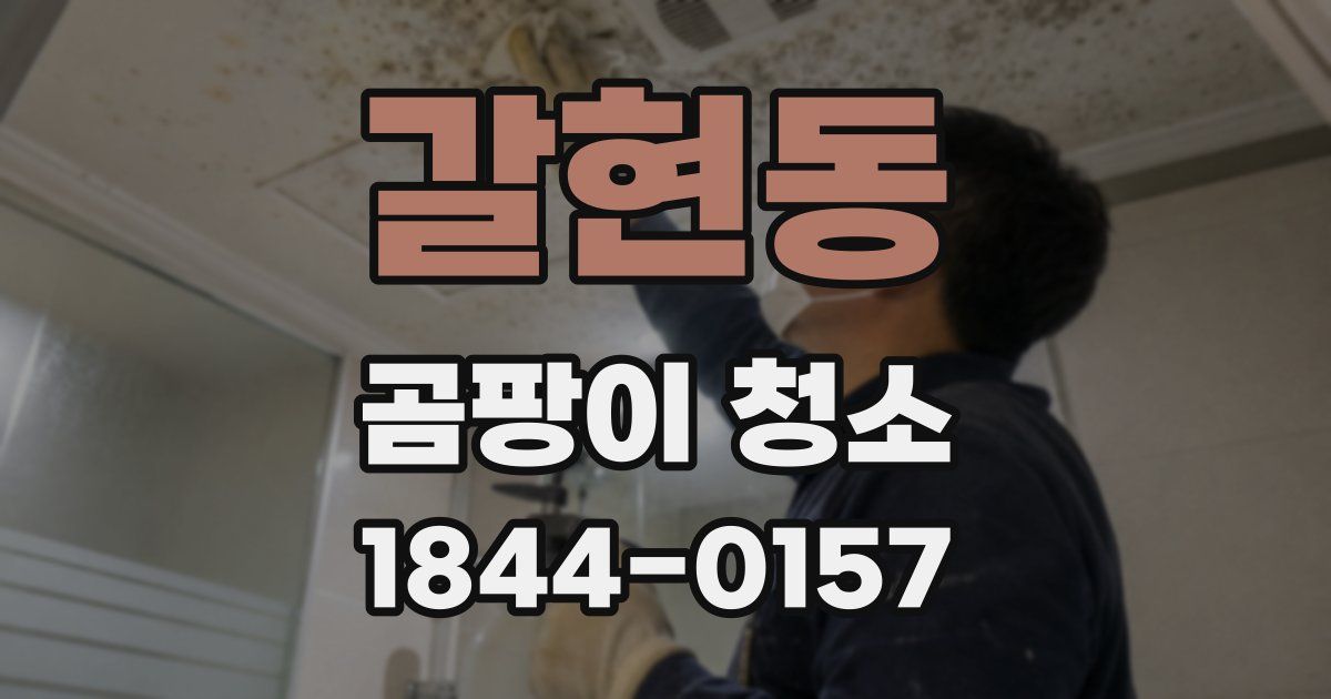 갈현동 곰팡이 청소