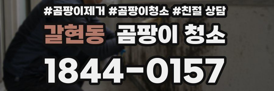 갈현동 곰팡이 청소