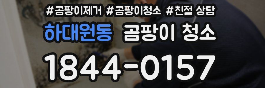 하대원동 곰팡이 청소