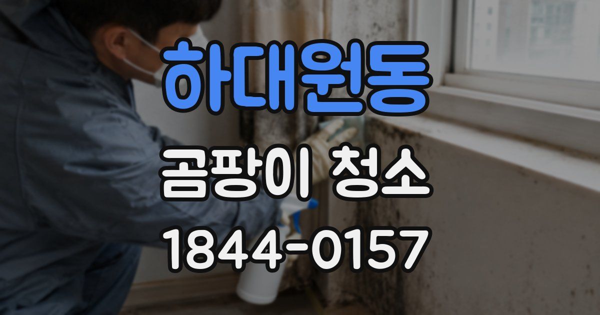 하대원동 곰팡이 청소
