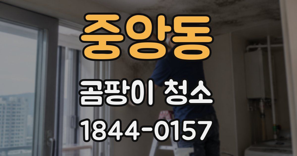 중앙동 곰팡이 청소