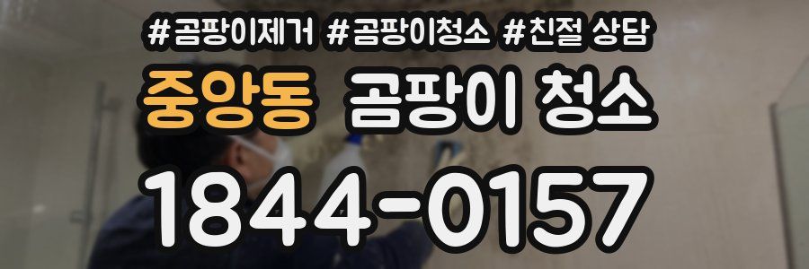 중앙동 곰팡이 청소