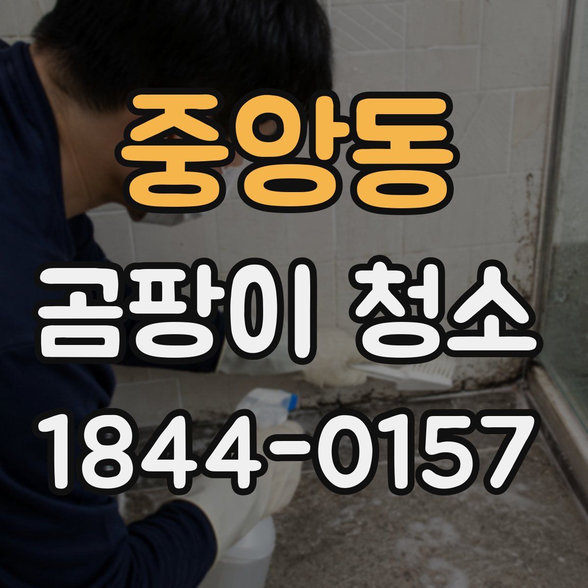 중앙동 곰팡이 청소