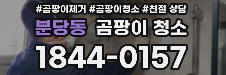분당동 곰팡이 청소