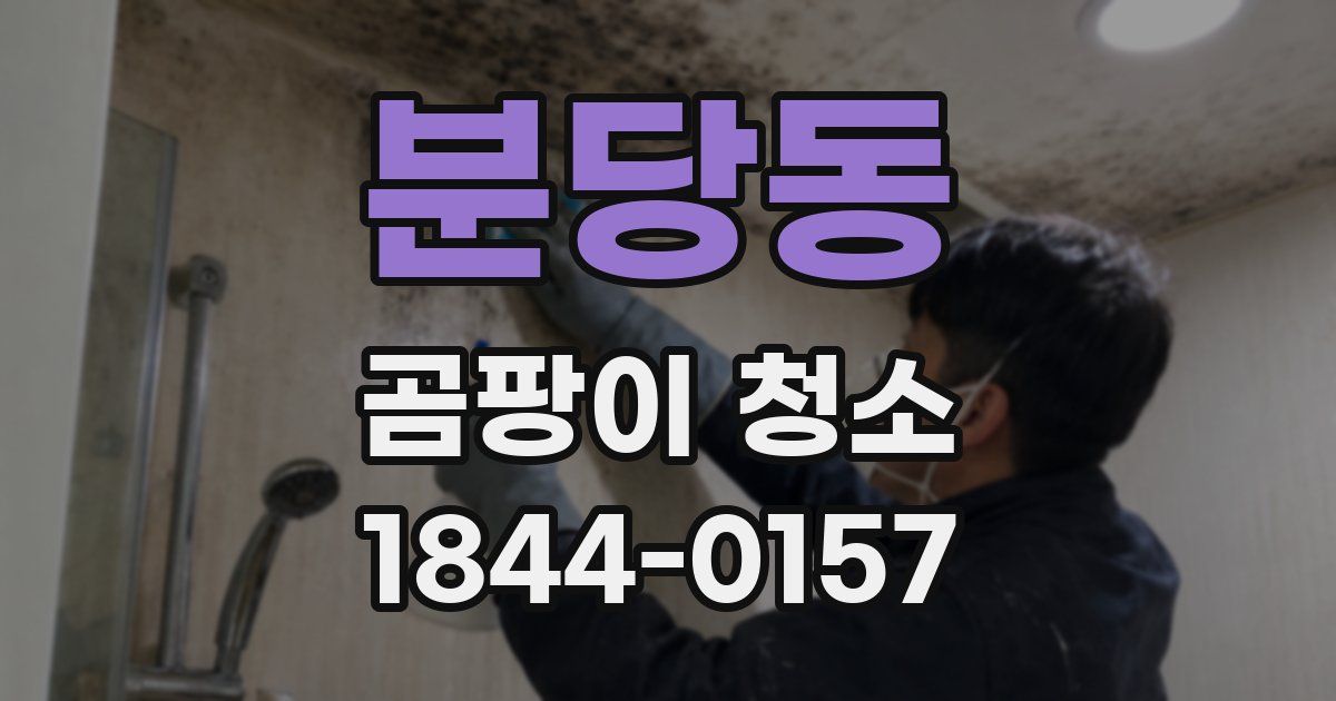 분당동 곰팡이 청소