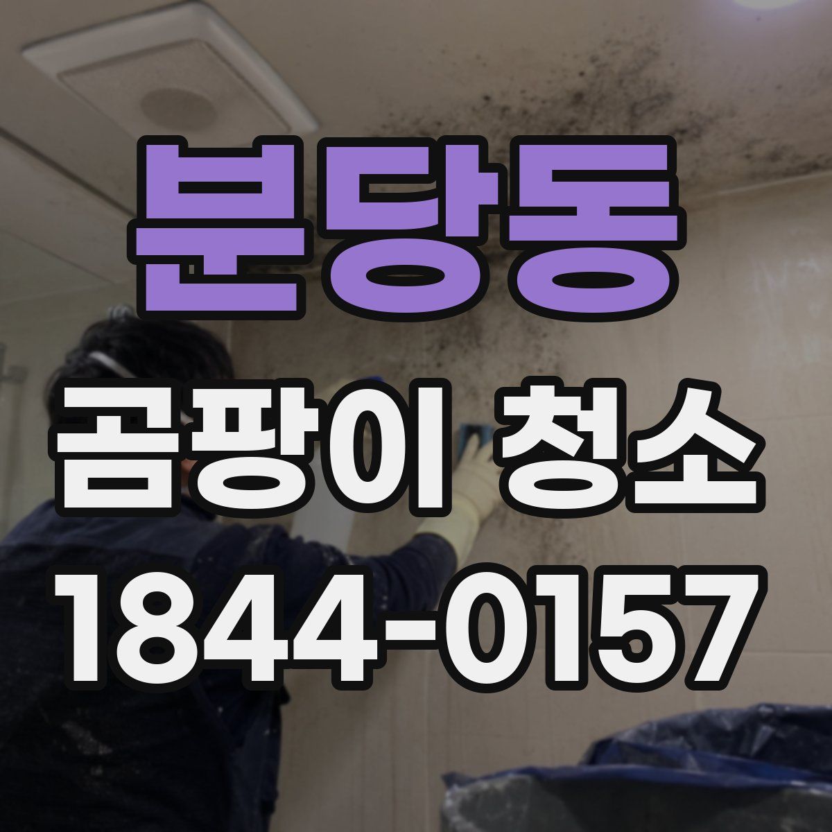 분당동 곰팡이 청소