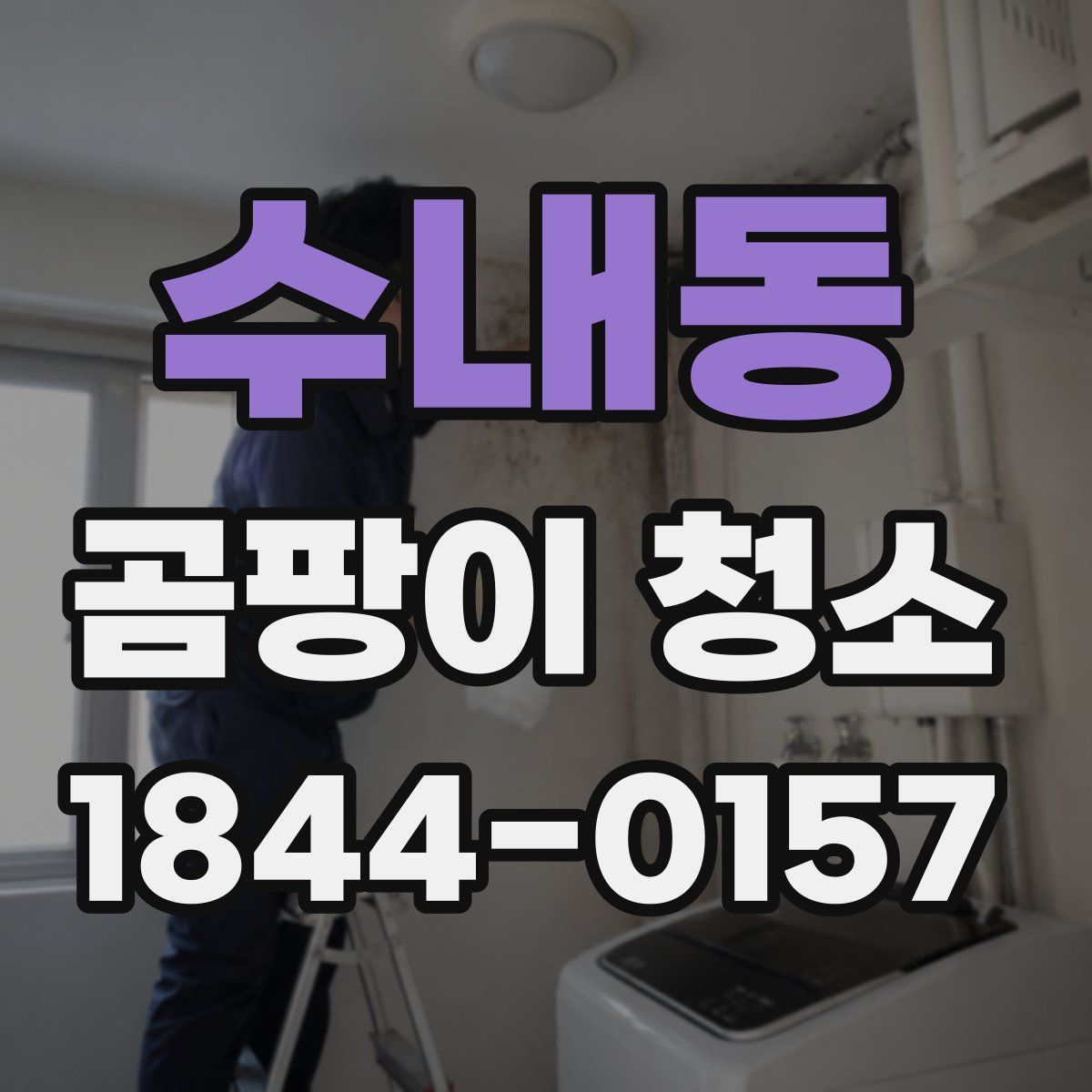 수내동 곰팡이 청소