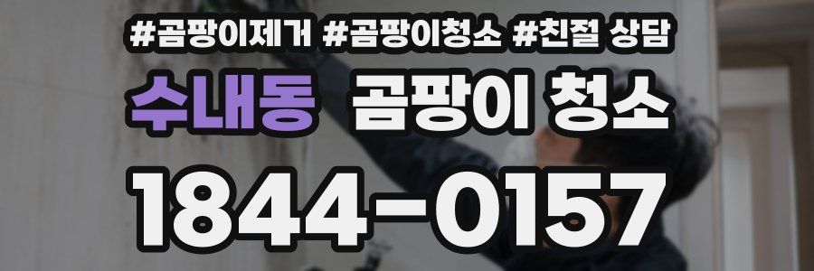 수내동 곰팡이 청소