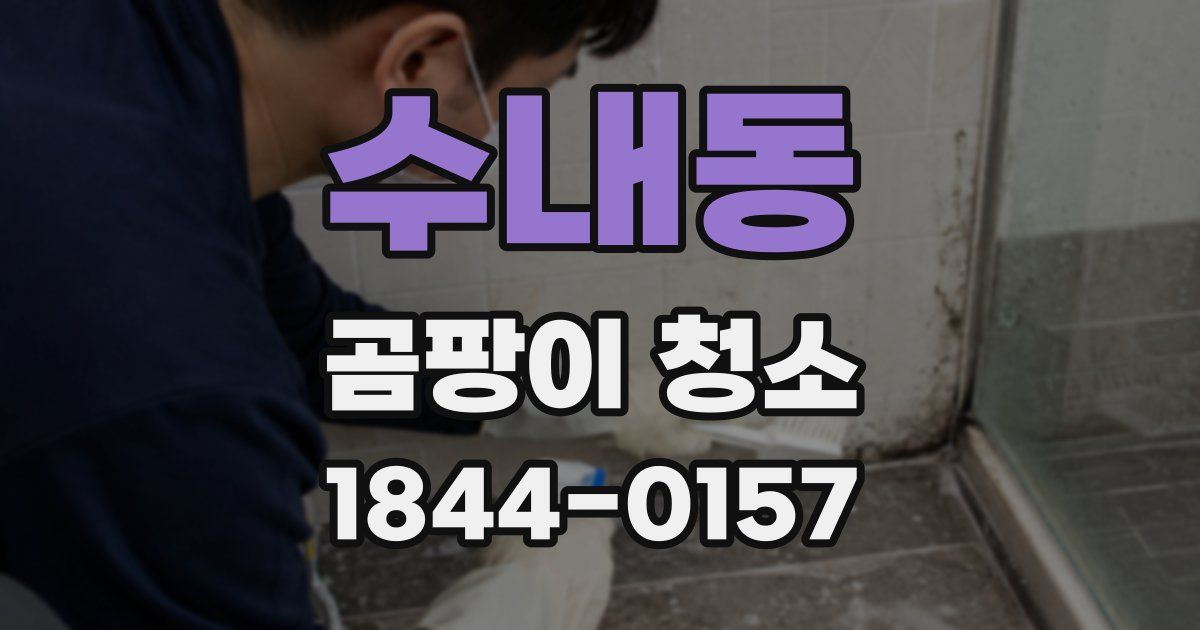 수내동 곰팡이 청소