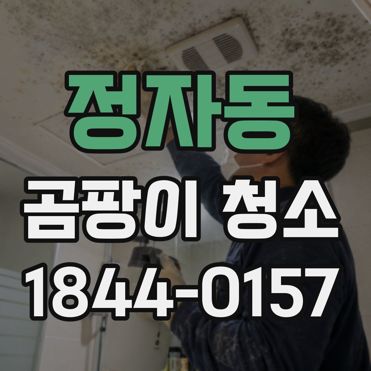 정자동 곰팡이 청소