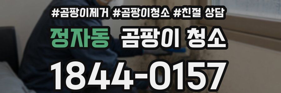 정자동 곰팡이 청소
