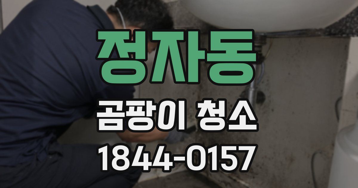 정자동 곰팡이 청소