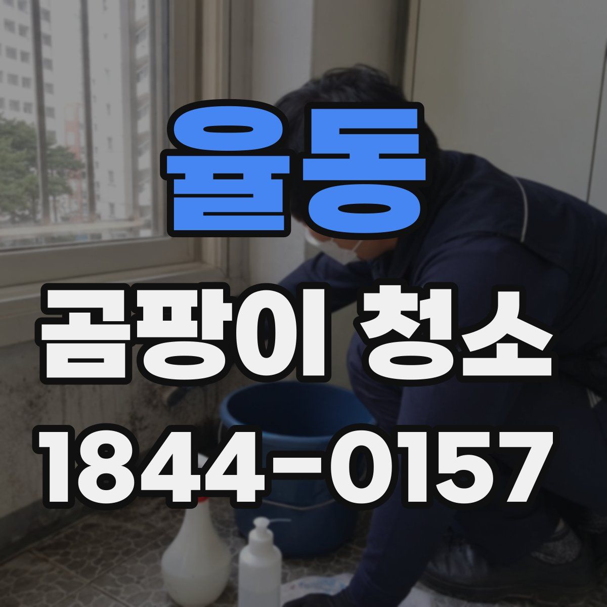 율동 곰팡이 청소