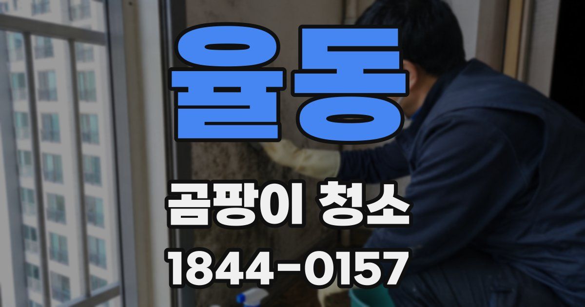 율동 곰팡이 청소