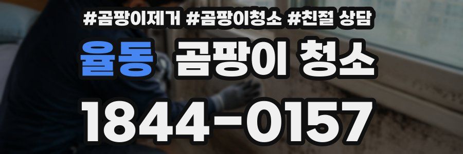 율동 곰팡이 청소
