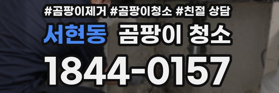 서현동 곰팡이 청소