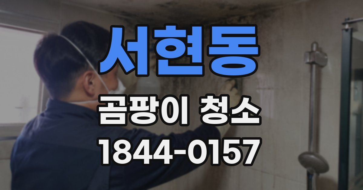 서현동 곰팡이 청소