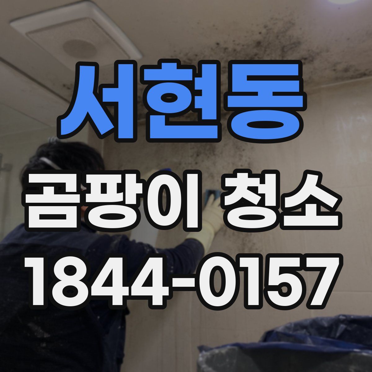 서현동 곰팡이 청소