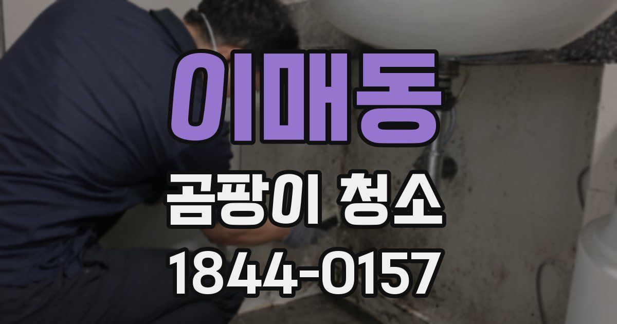 이매동 곰팡이 청소