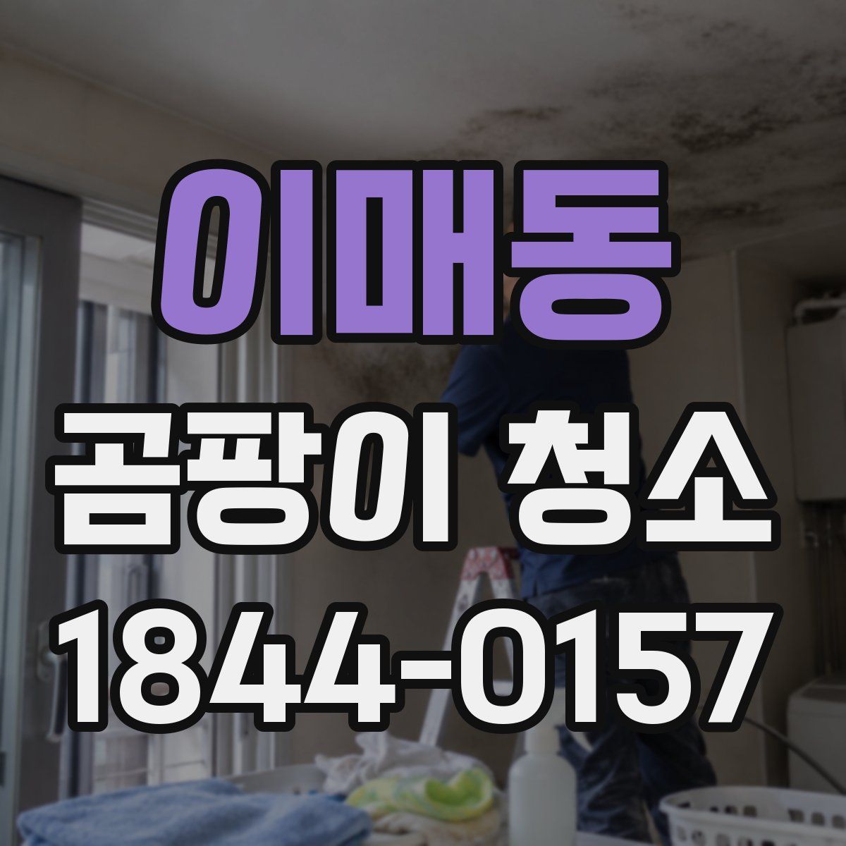 이매동 곰팡이 청소