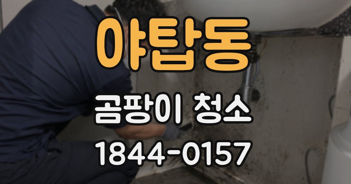 야탑동 곰팡이 청소