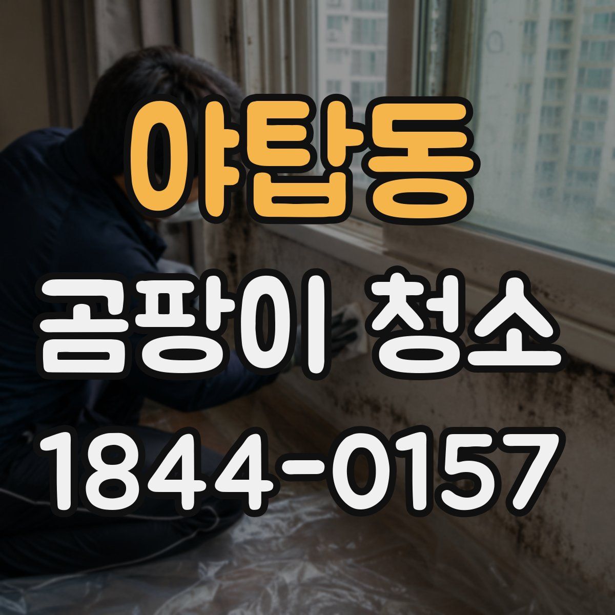 야탑동 곰팡이 청소