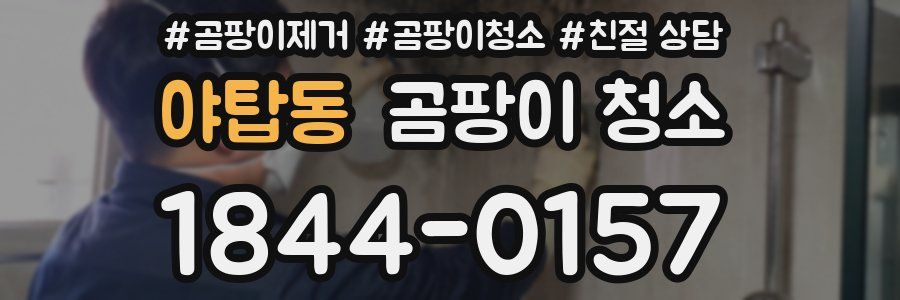 야탑동 곰팡이 청소
