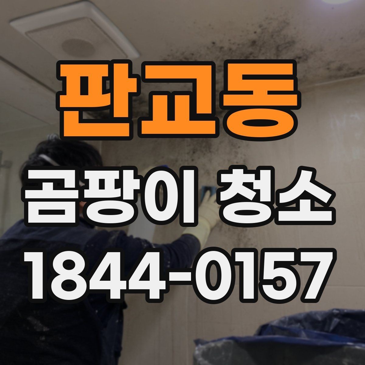 판교동 곰팡이 청소 대상별 비용 차이 정리