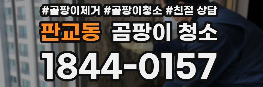 판교동 곰팡이 청소