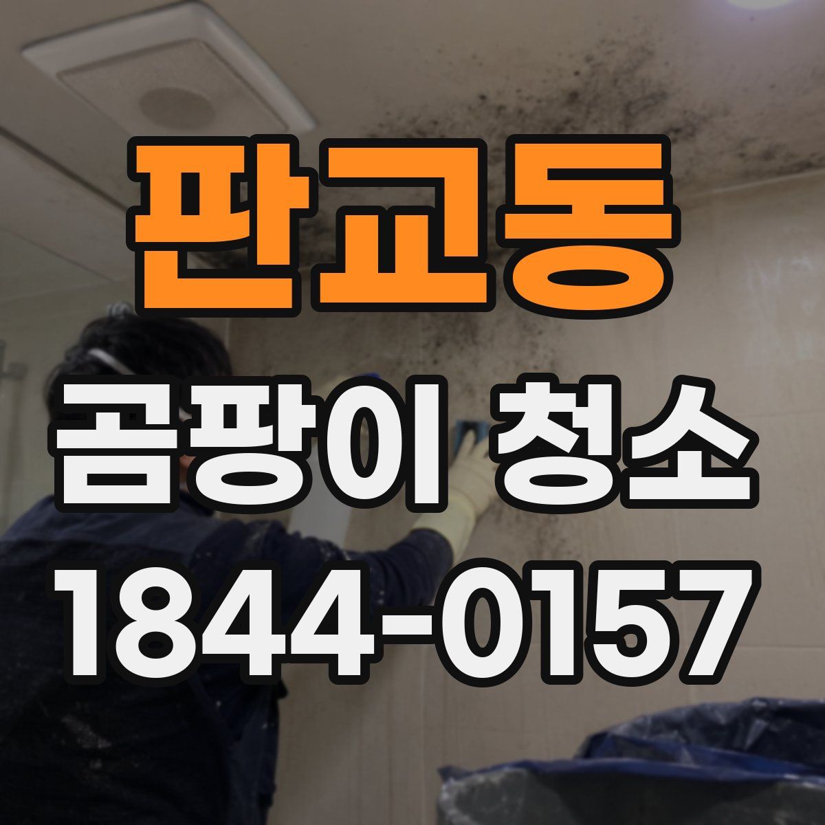 판교동 곰팡이 청소