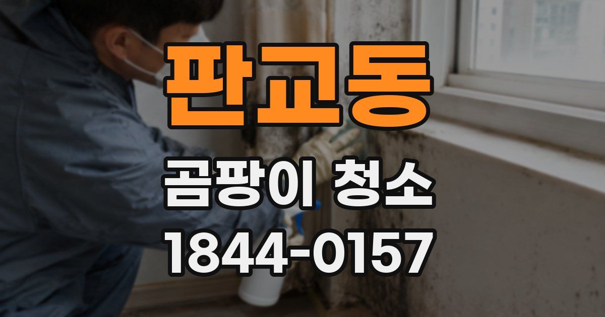 판교동 곰팡이 청소