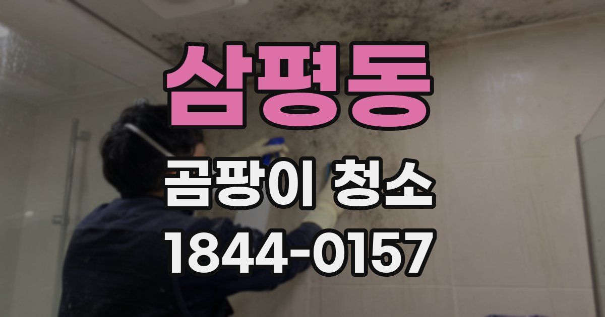 삼평동 곰팡이 청소