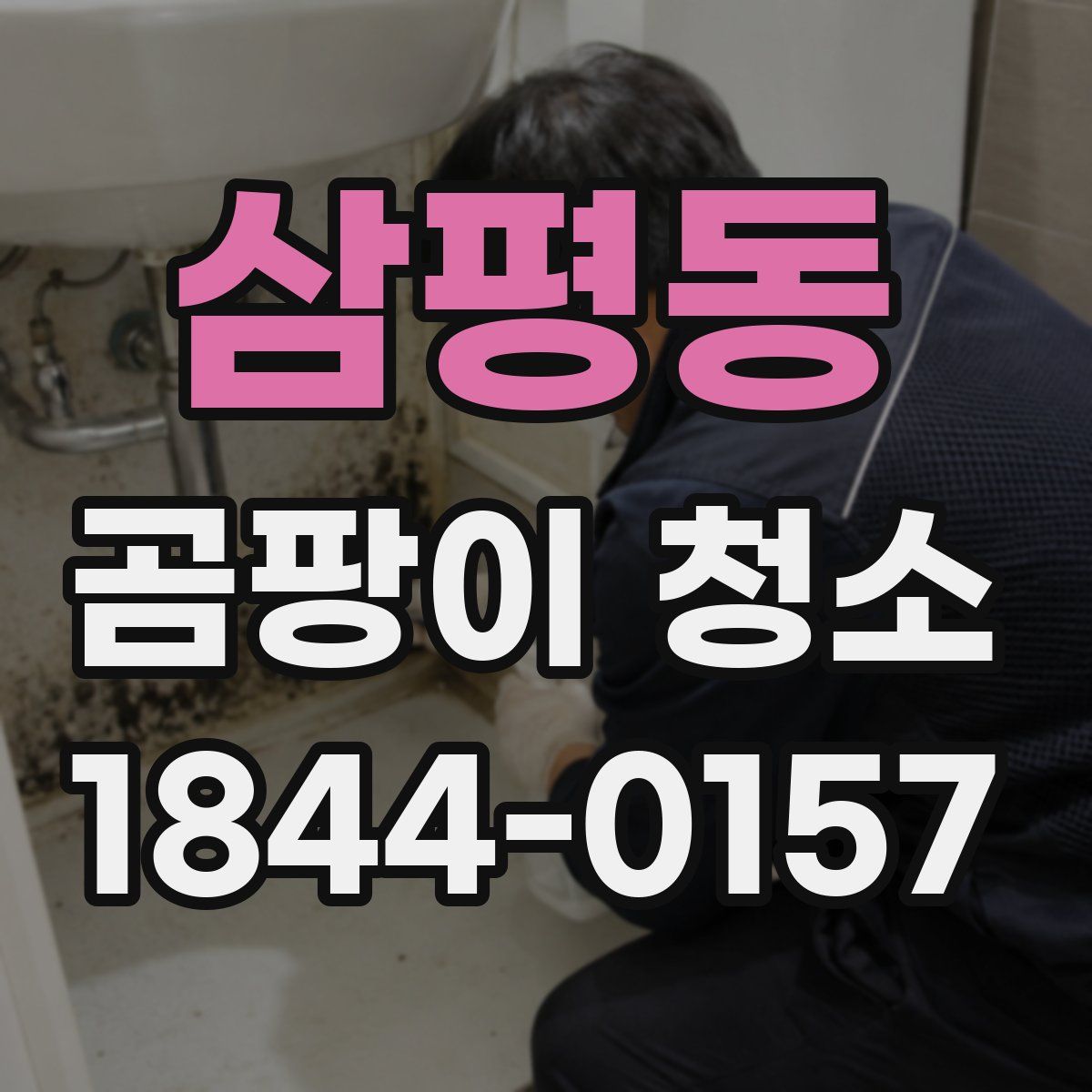 삼평동 곰팡이 청소