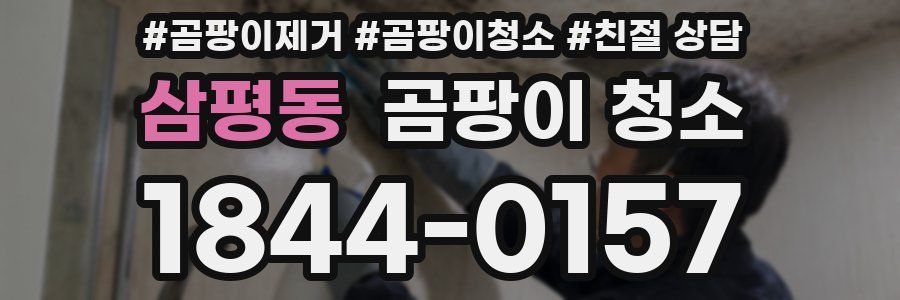 삼평동 곰팡이 청소