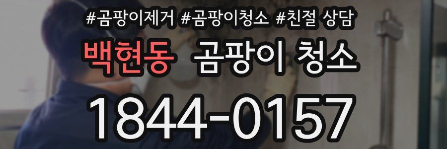 백현동 곰팡이 청소