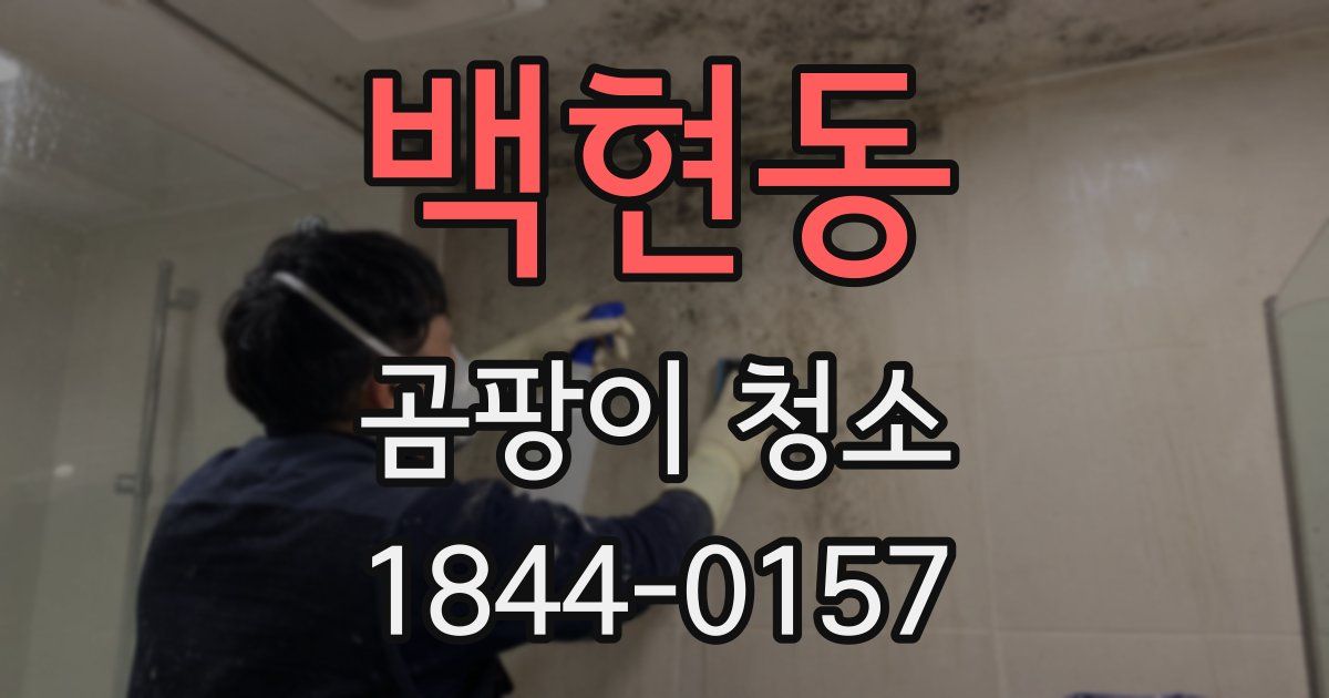 백현동 곰팡이 청소
