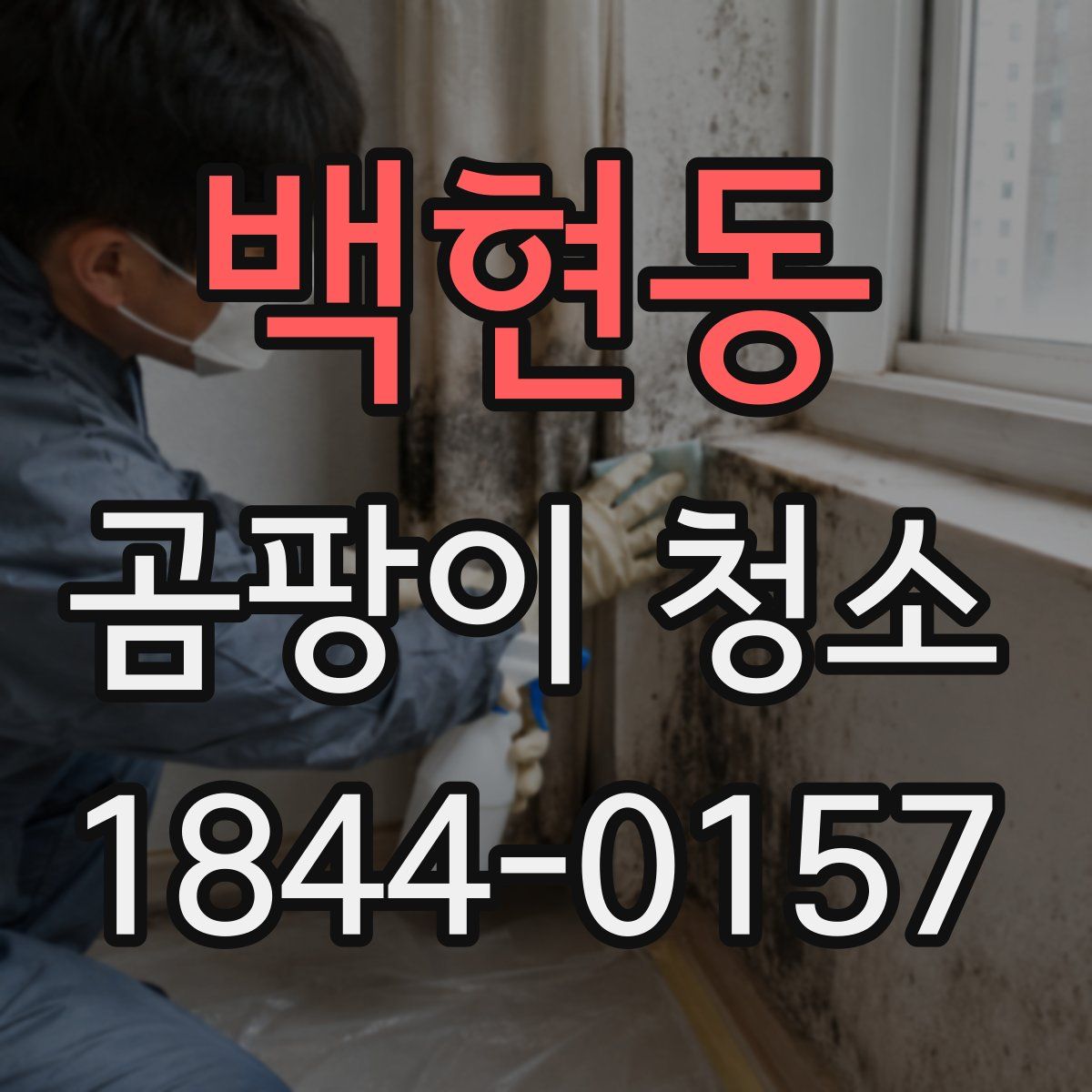 백현동 곰팡이 청소