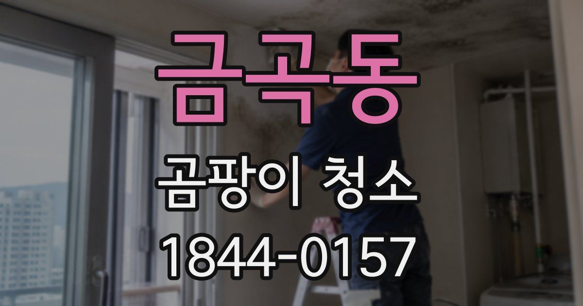 금곡동 곰팡이 청소