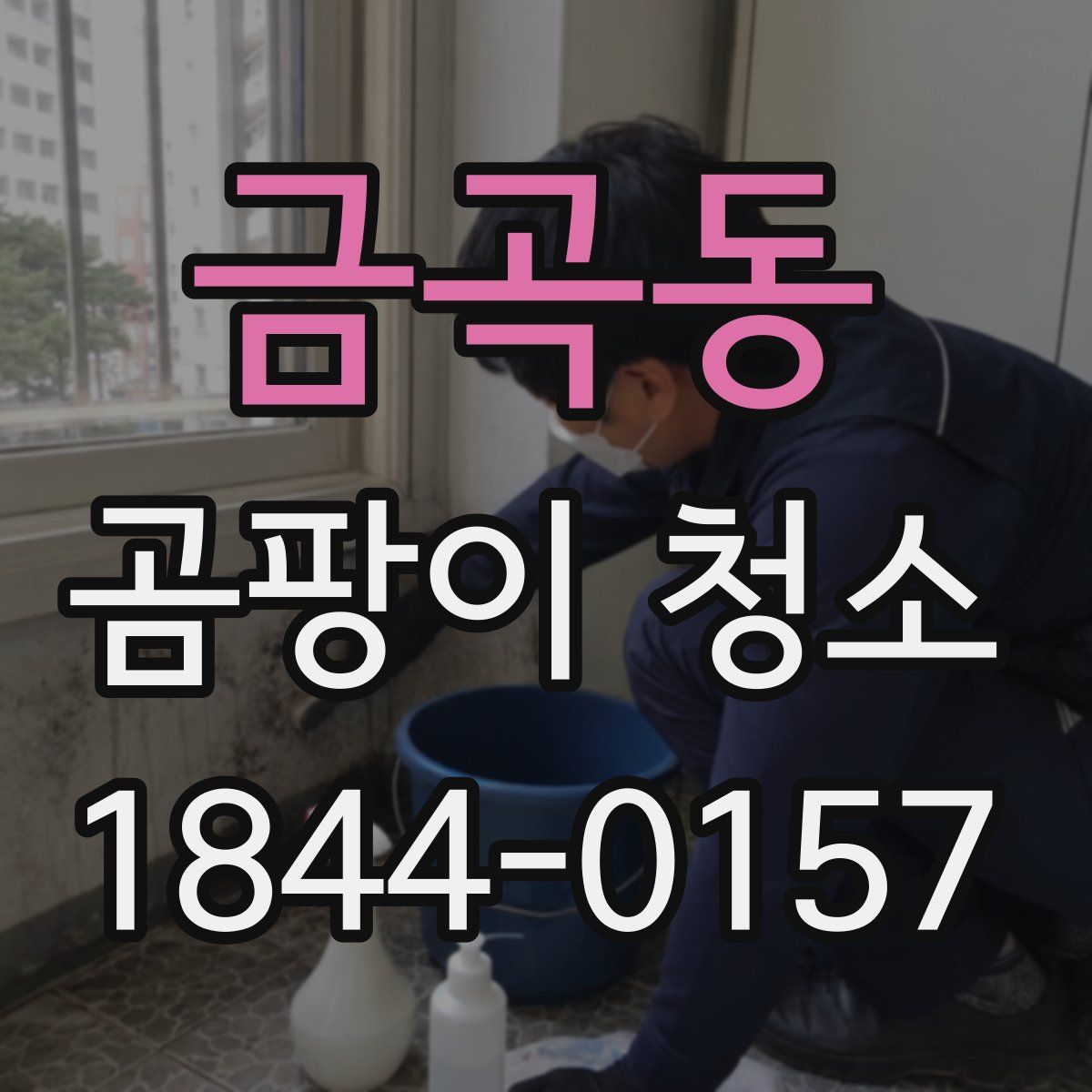 금곡동 곰팡이 청소