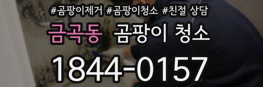 금곡동 곰팡이 청소