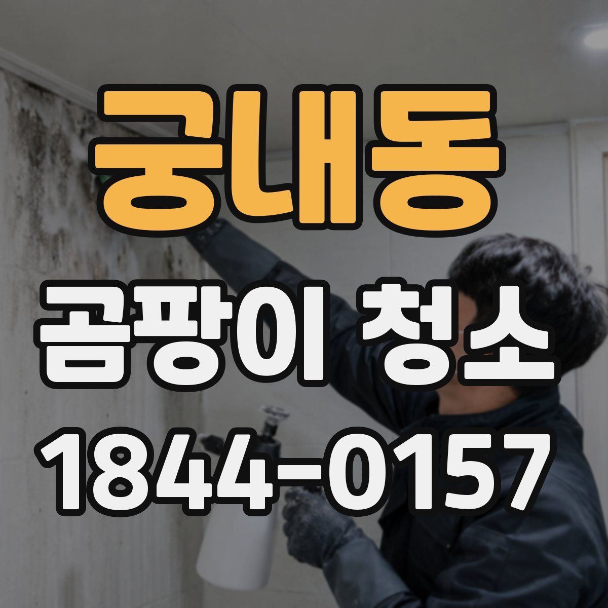 궁내동 곰팡이 청소