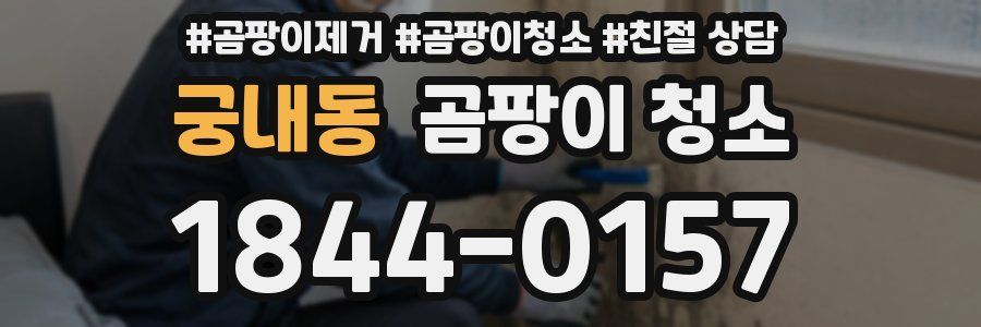 궁내동 곰팡이 청소