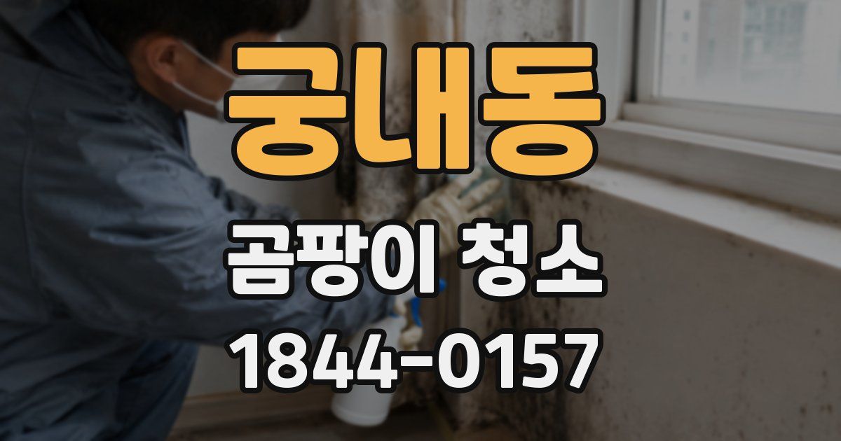 궁내동 곰팡이 청소