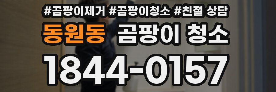 동원동 곰팡이 청소