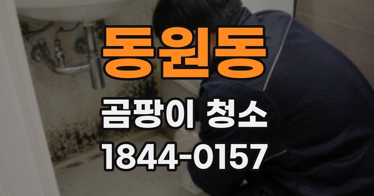 동원동 곰팡이 청소