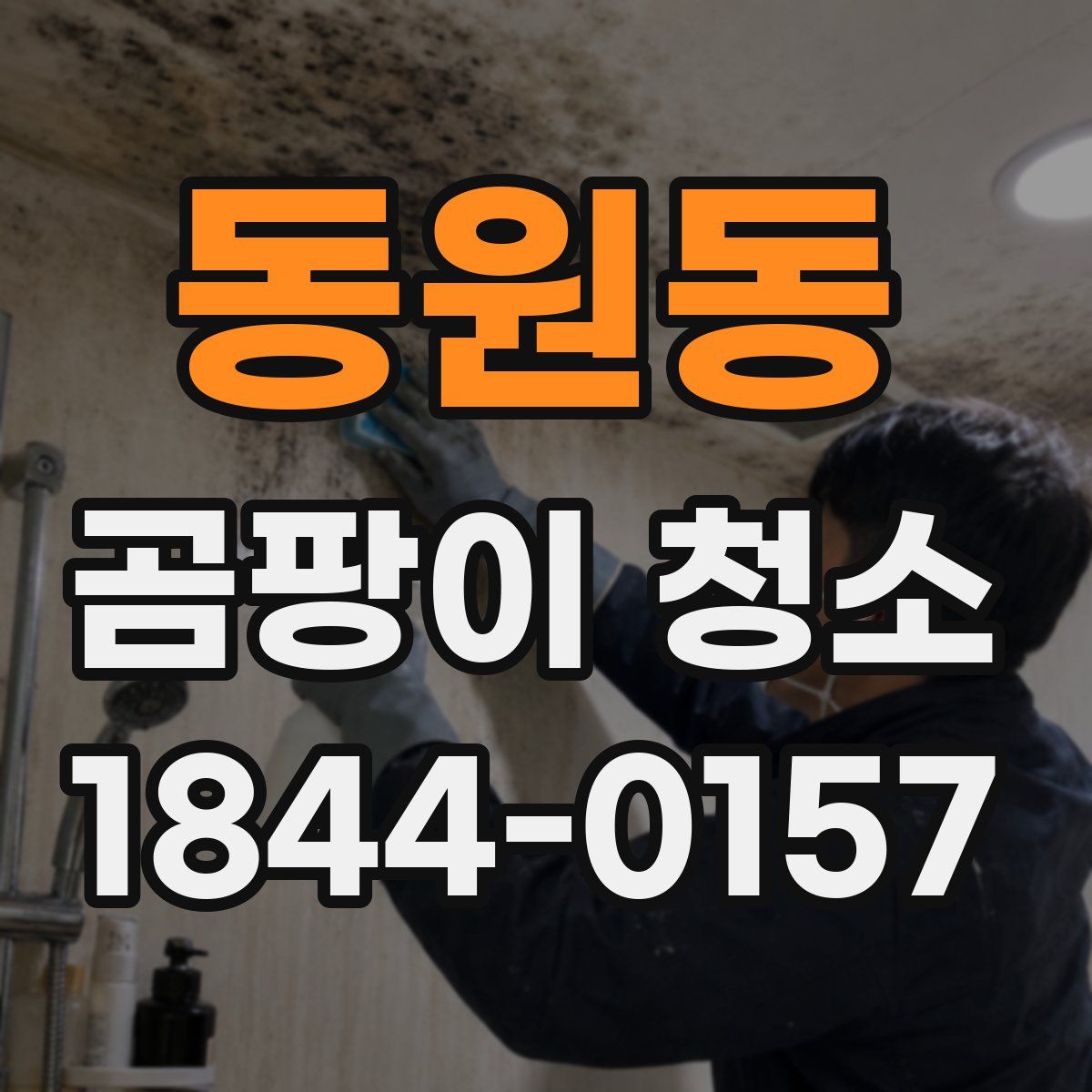 동원동 곰팡이 청소