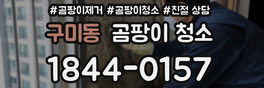 구미동 곰팡이 청소